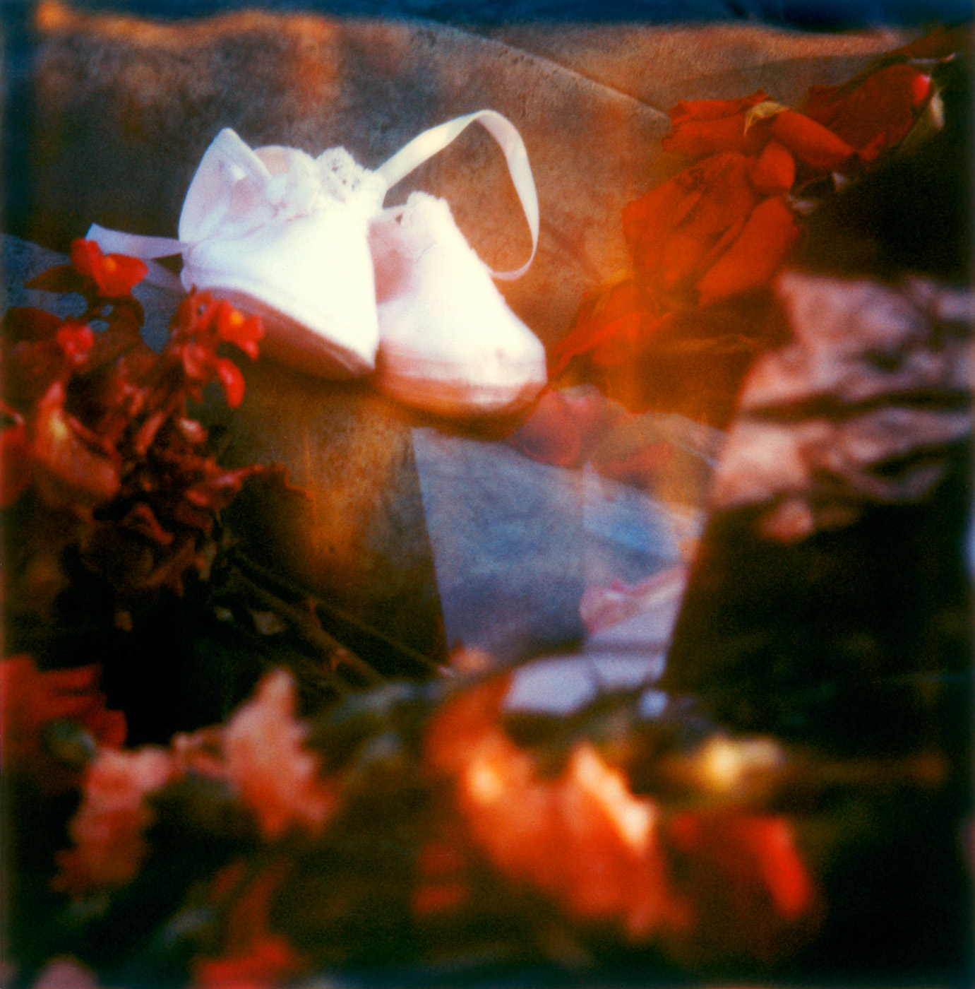 Mérigard Photographie Polaroid Expiré cimetière Père Lachaise Paris
