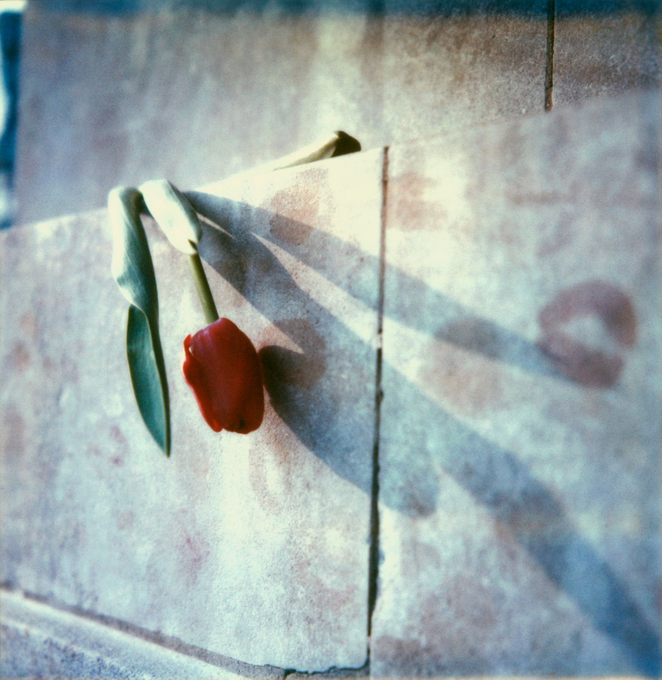 Mérigard Photographie Oscar Wilde Polaroid Expiré cimetière Père Lachaise Paris